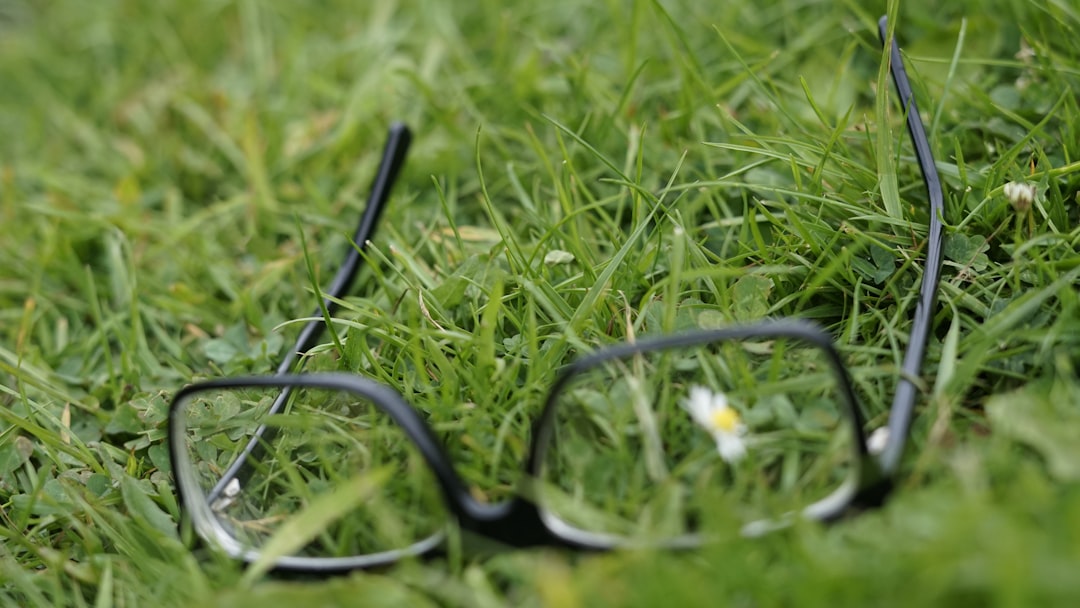 Çevre dostu malzemeden yapılmış gözlük çerçevesinin yakın çekimi