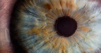 Gözlük Bakımıyla Optik Değeri Korumak İçin Stratejiler